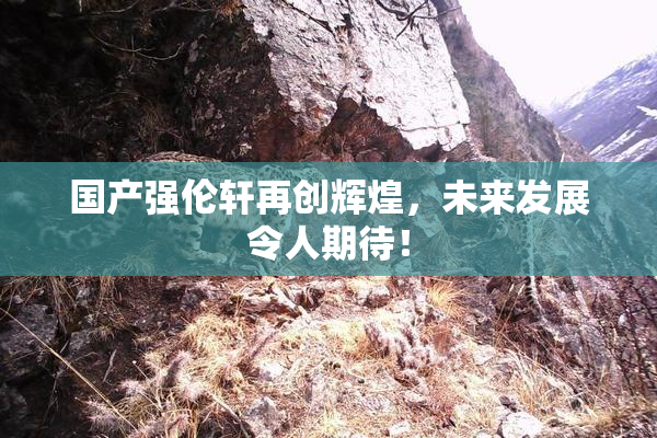 国产强伦轩再创辉煌，未来发展令人期待！