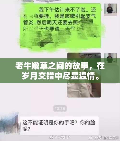 老牛嫩草之间的故事，在岁月交错中尽显温情。