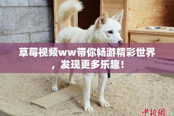 草莓视频ww带你畅游精彩世界，发现更多乐趣！