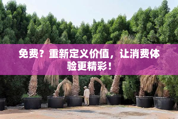 免费？重新定义价值，让消费体验更精彩！