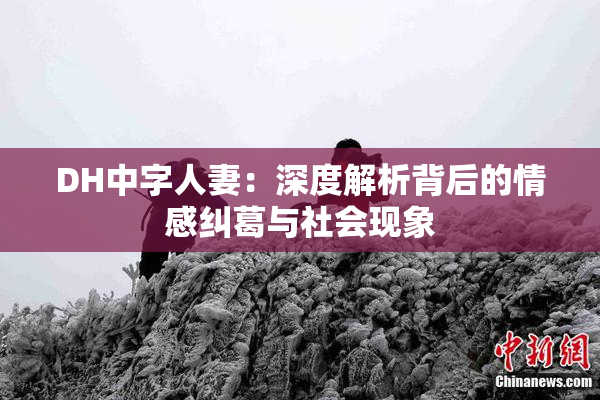 DH中字人妻：深度解析背后的情感纠葛与社会现象