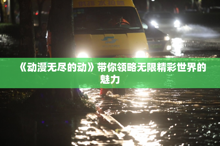 《动漫无尽的动》带你领略无限精彩世界的魅力