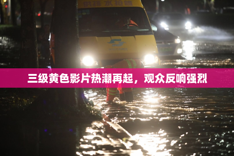 三级黄色影片热潮再起，观众反响强烈
