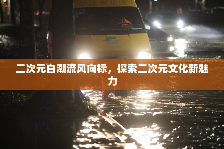 二次元白潮流风向标，探索二次元文化新魅力