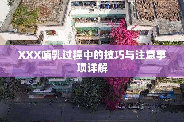 XXX哺乳过程中的技巧与注意事项详解