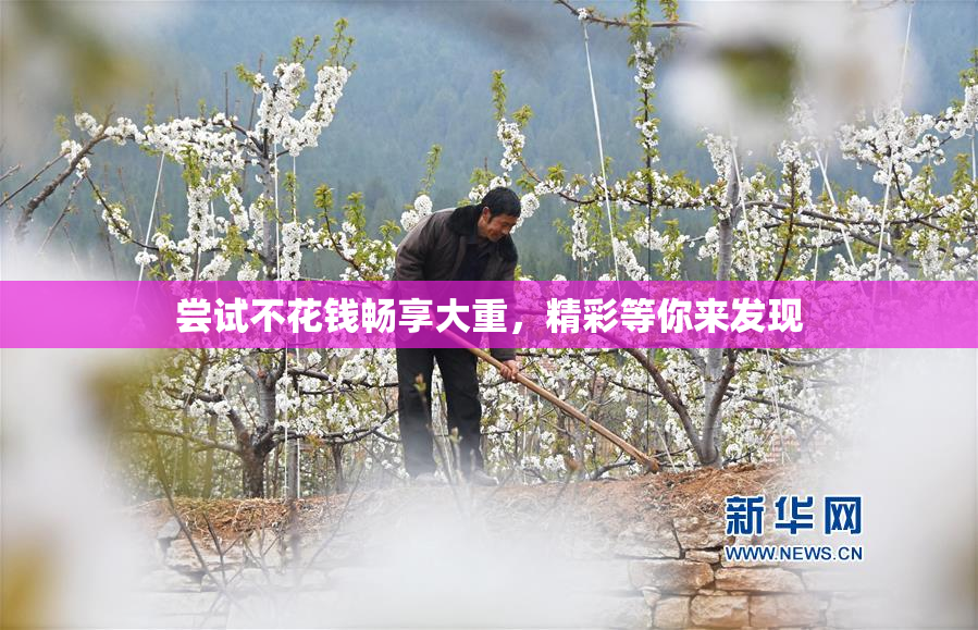 尝试不花钱畅享大重，精彩等你来发现