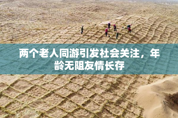 两个老人同游引发社会关注，年龄无阻友情长存