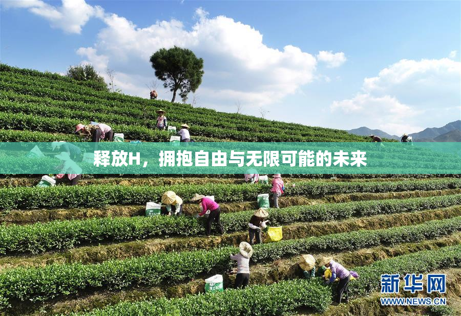 释放H，拥抱自由与无限可能的未来