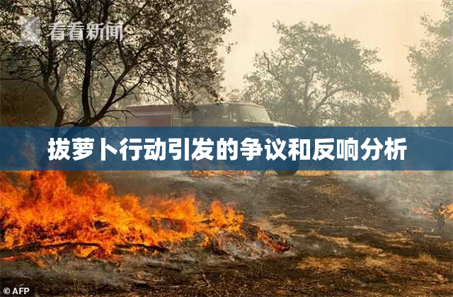 拔萝卜行动引发的争议和反响分析