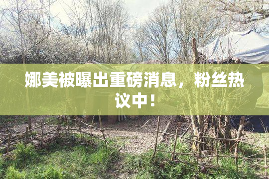 娜美被曝出重磅消息，粉丝热议中！