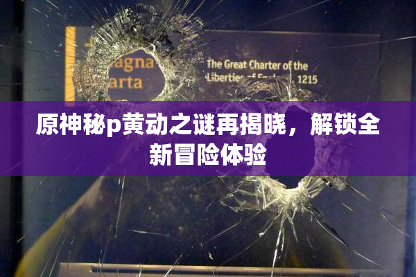 原神秘p黄动之谜再揭晓，解锁全新冒险体验