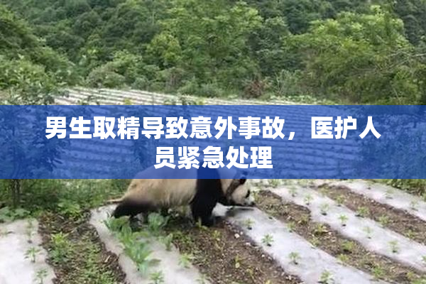 男生取精导致意外事故，医护人员紧急处理