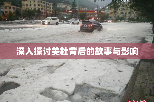 深入探讨美杜背后的故事与影响