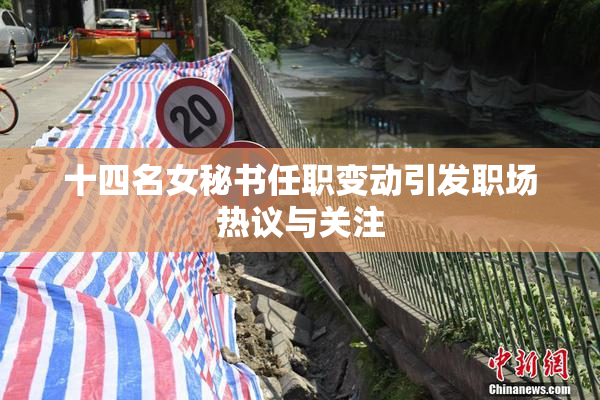 十四名女秘书任职变动引发职场热议与关注