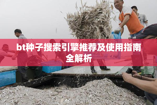 bt种子搜索引擎推荐及使用指南全解析