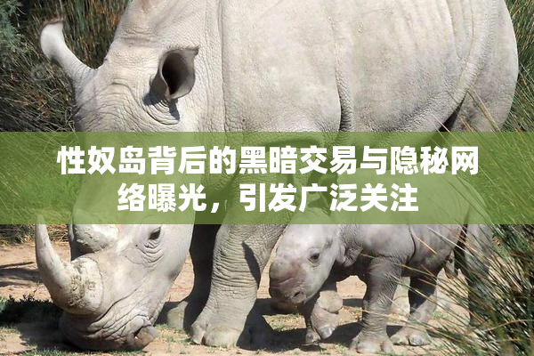 性奴岛背后的黑暗交易与隐秘网络曝光，引发广泛关注