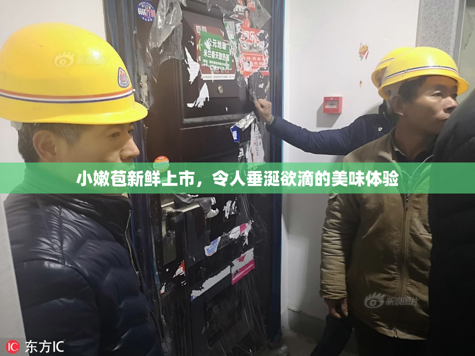 小嫩苞新鲜上市，令人垂涎欲滴的美味体验
