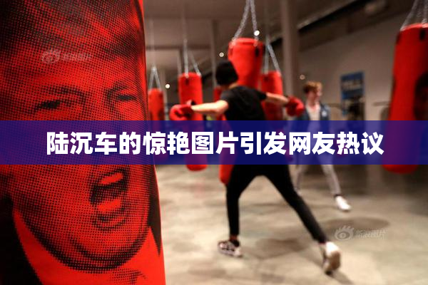 陆沉车的惊艳图片引发网友热议