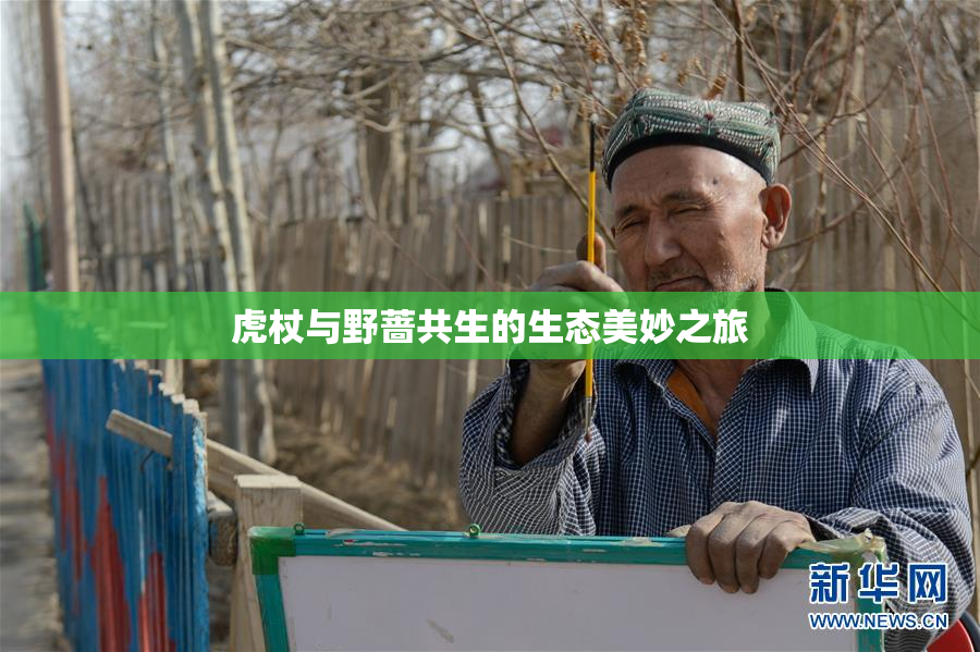 虎杖与野蔷共生的生态美妙之旅