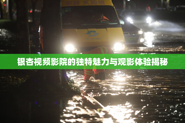银杏视频影院的独特魅力与观影体验揭秘