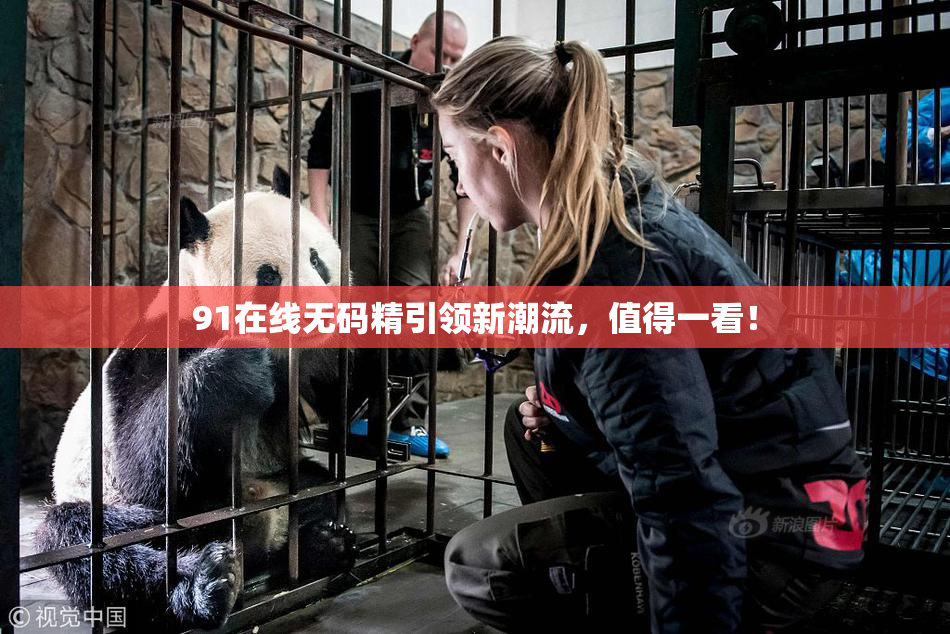 91在线无码精引领新潮流，值得一看！