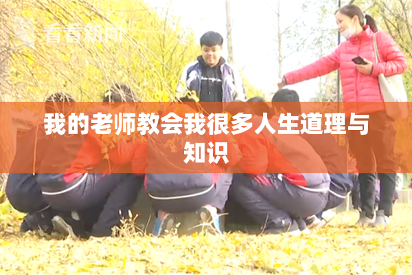 我的老师教会我很多人生道理与知识
