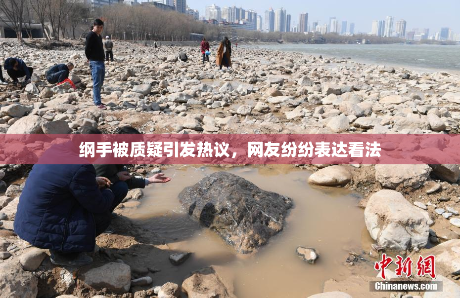 纲手被质疑引发热议，网友纷纷表达看法