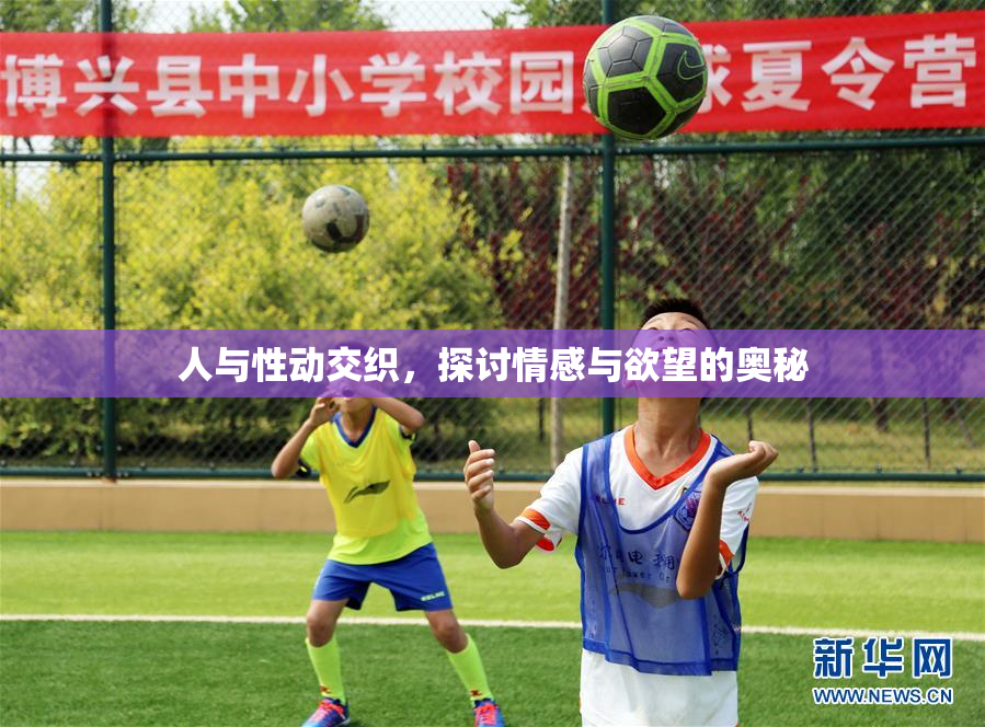 人与性动交织，探讨情感与欲望的奥秘