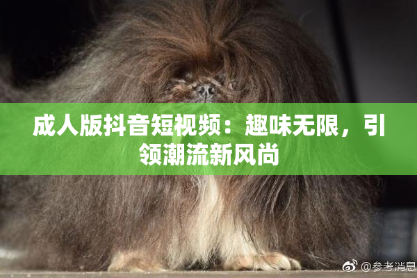 成人版抖音短视频：趣味无限，引领潮流新风尚