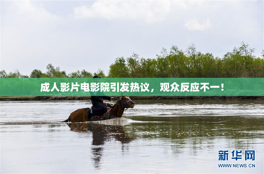 成人影片电影院引发热议，观众反应不一！