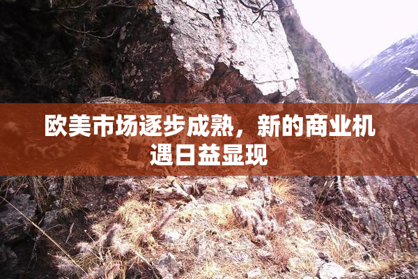欧美市场逐步成熟，新的商业机遇日益显现