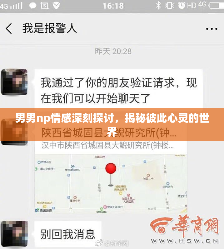 男男np情感深刻探讨，揭秘彼此心灵的世界