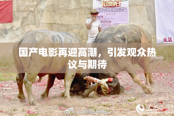 国产电影再迎高潮，引发观众热议与期待