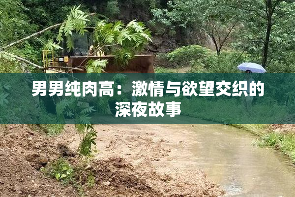 男男纯肉高：激情与欲望交织的深夜故事