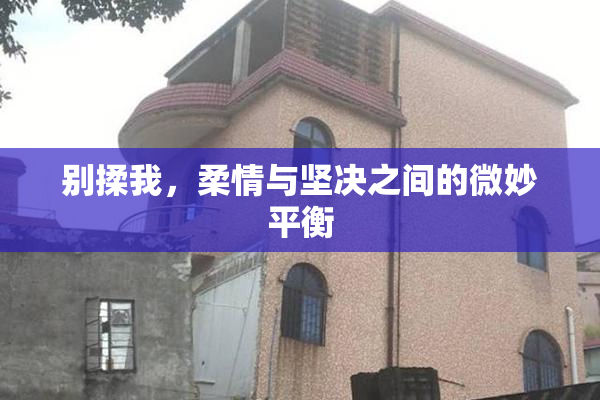 别揉我，柔情与坚决之间的微妙平衡