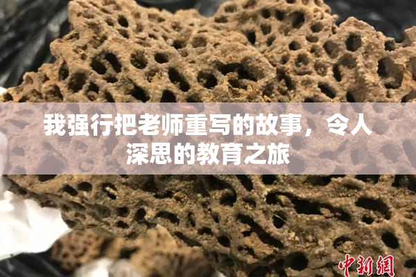 我强行把老师重写的故事，令人深思的教育之旅
