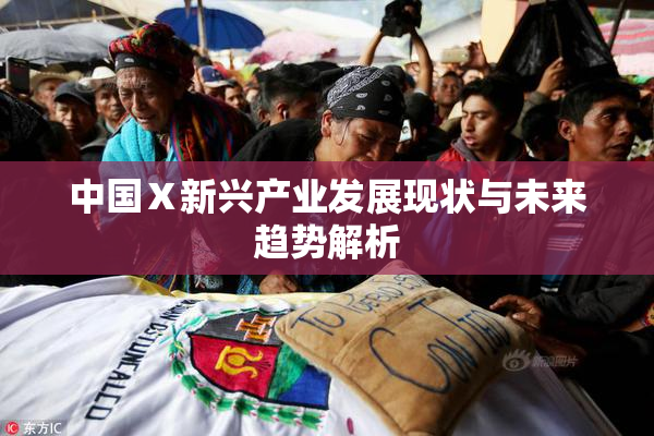 中国Ⅹ新兴产业发展现状与未来趋势解析