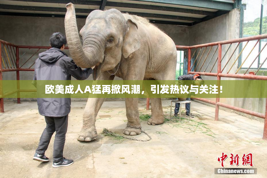 欧美成人A猛再掀风潮，引发热议与关注！