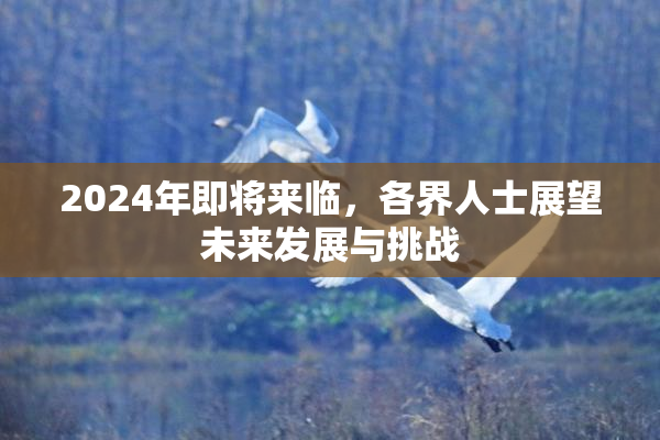 2024年即将来临，各界人士展望未来发展与挑战
