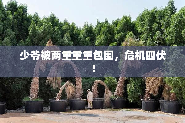 少爷被两重重重包围，危机四伏！