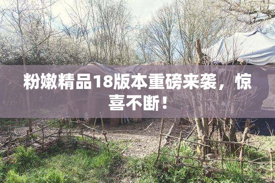 粉嫩精品18版本重磅来袭，惊喜不断！