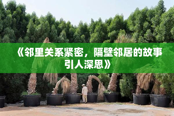 《邻里关系紧密，隔壁邻居的故事引人深思》