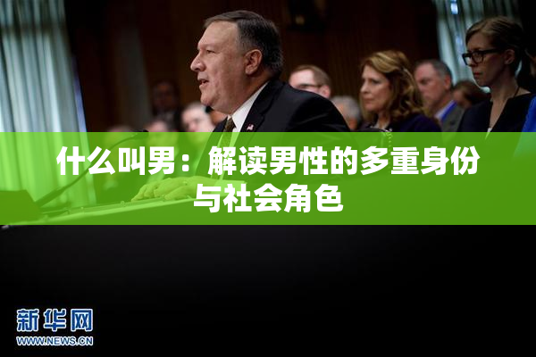 什么叫男：解读男性的多重身份与社会角色