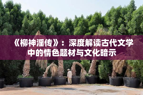 《柳神淫传》：深度解读古代文学中的情色题材与文化暗示