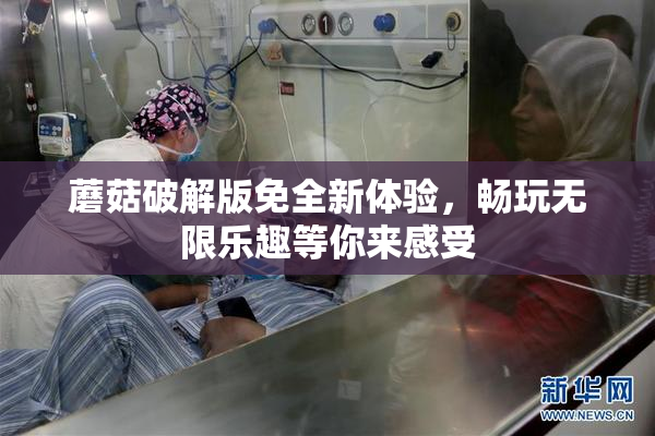 蘑菇破解版免全新体验，畅玩无限乐趣等你来感受
