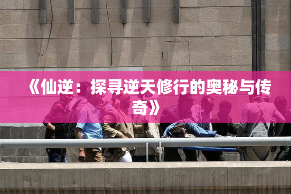 《仙逆：探寻逆天修行的奥秘与传奇》