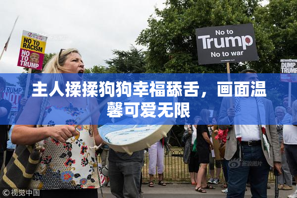主人揉揉狗狗幸福舔舌，画面温馨可爱无限