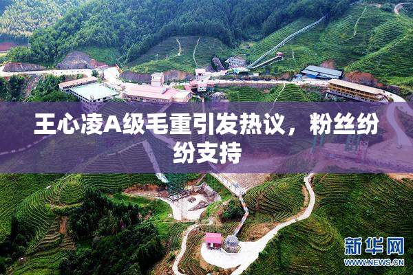 王心凌A级毛重引发热议，粉丝纷纷支持