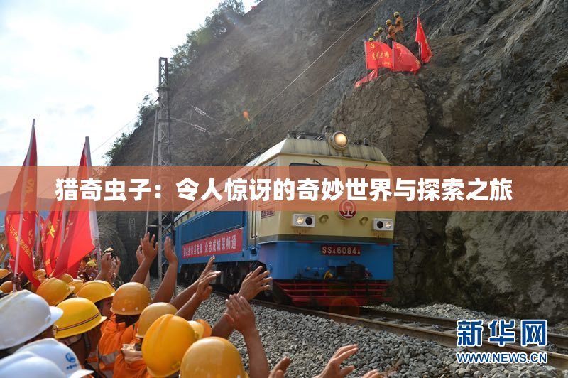 猎奇虫子：令人惊讶的奇妙世界与探索之旅