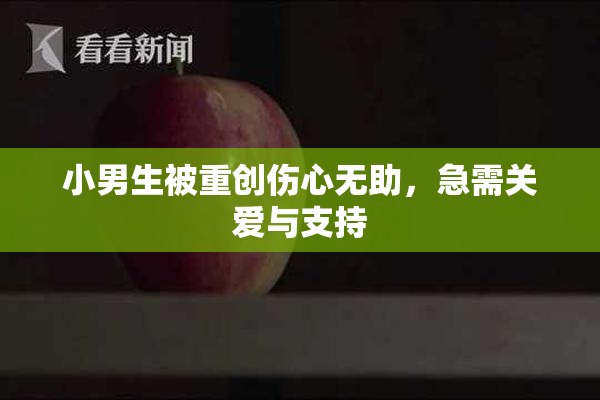 小男生被重创伤心无助，急需关爱与支持
